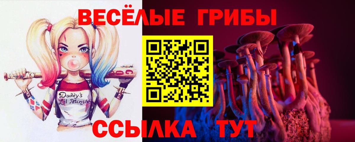 Псилоцибиновые грибы мицелий Котлас