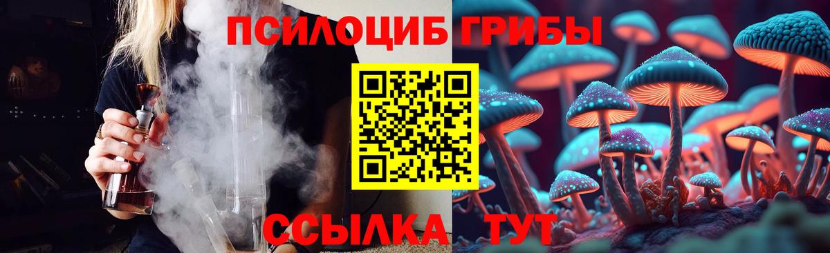 Котлас  Псилоцибиновые грибы GOLDEN TEACHER  Вход с VPN  Псилоцибиновые грибы мухоморы 